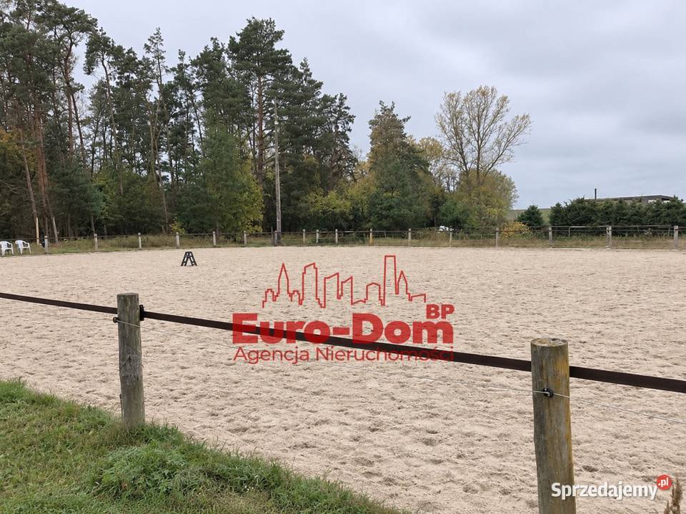 Renomowana stajnia na sprzedaż 39000m2 Sprzedaż Pruszków