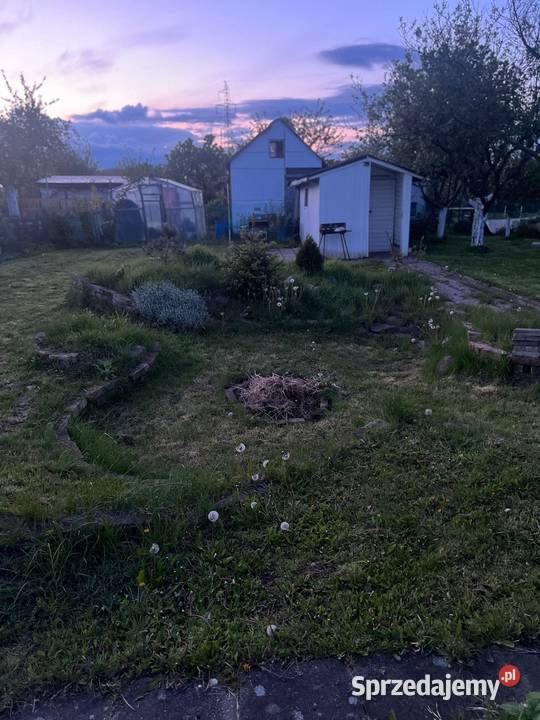 Działka ROD Gorzów Wlkp Śląska ROD Jedwab 350m2 Gorzów Wielkopolski sprzedam