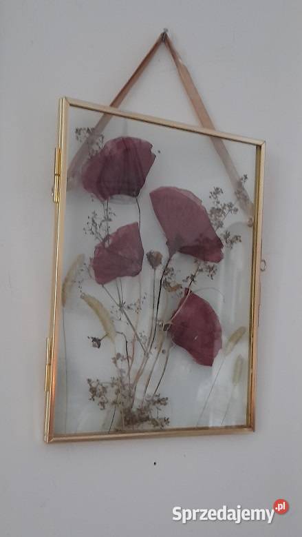 Obraz Kwiatowy Kompozycja Wspomnienie lata Maki Rotmanka sprzedam