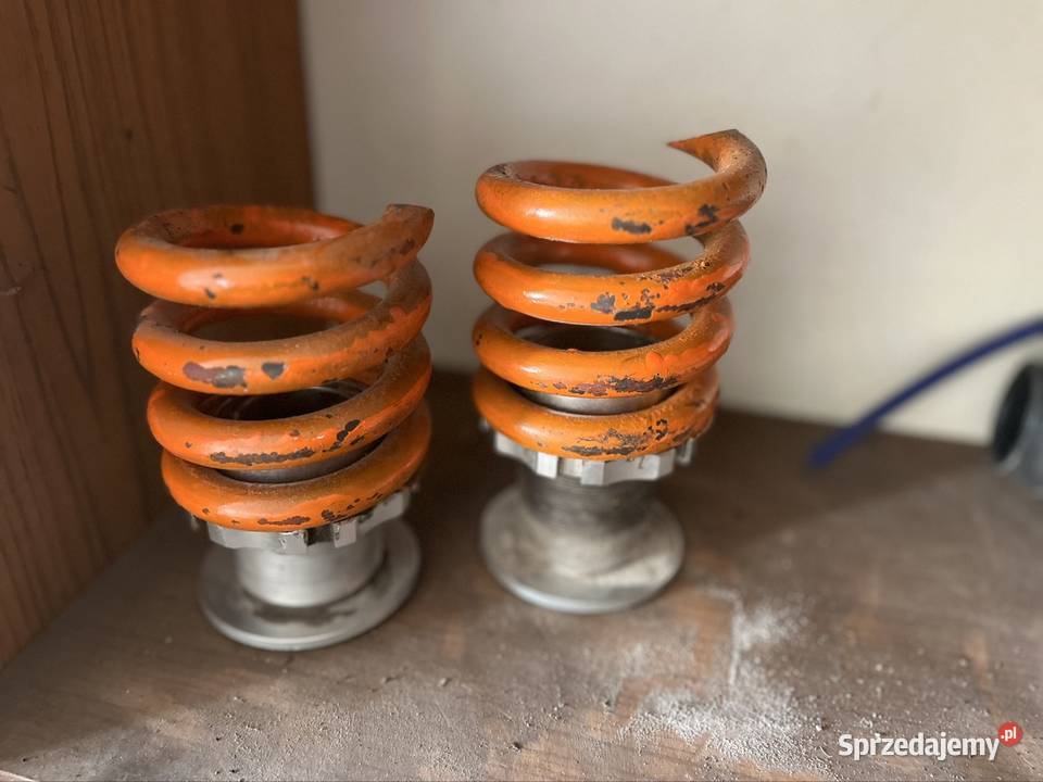 Sprężyny obniżające regulacja betony bizony Przeworsk