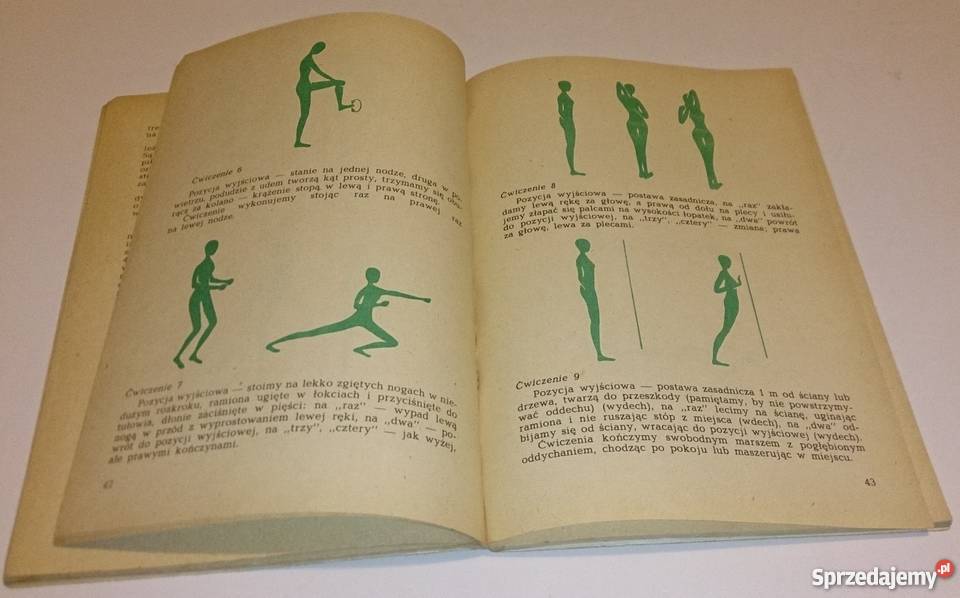 Rudnicki Smolis Rehabilitacja fizyczna zawale Pozostałe Rogoźnik sprzedam