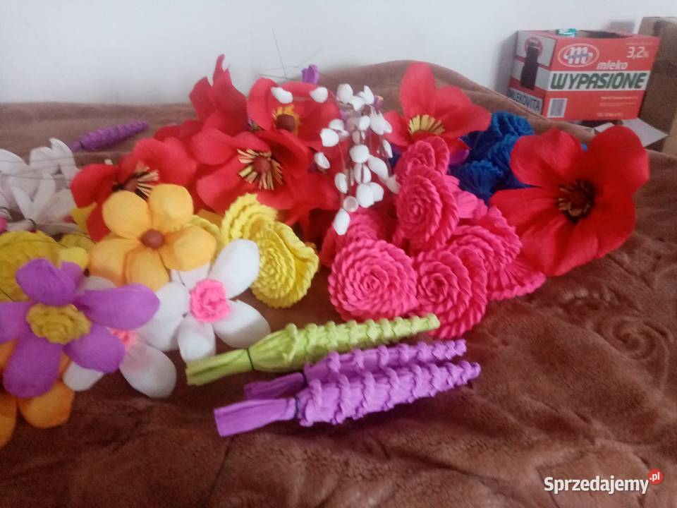 Kwiaty do dużej Palmy Pokrzywnica