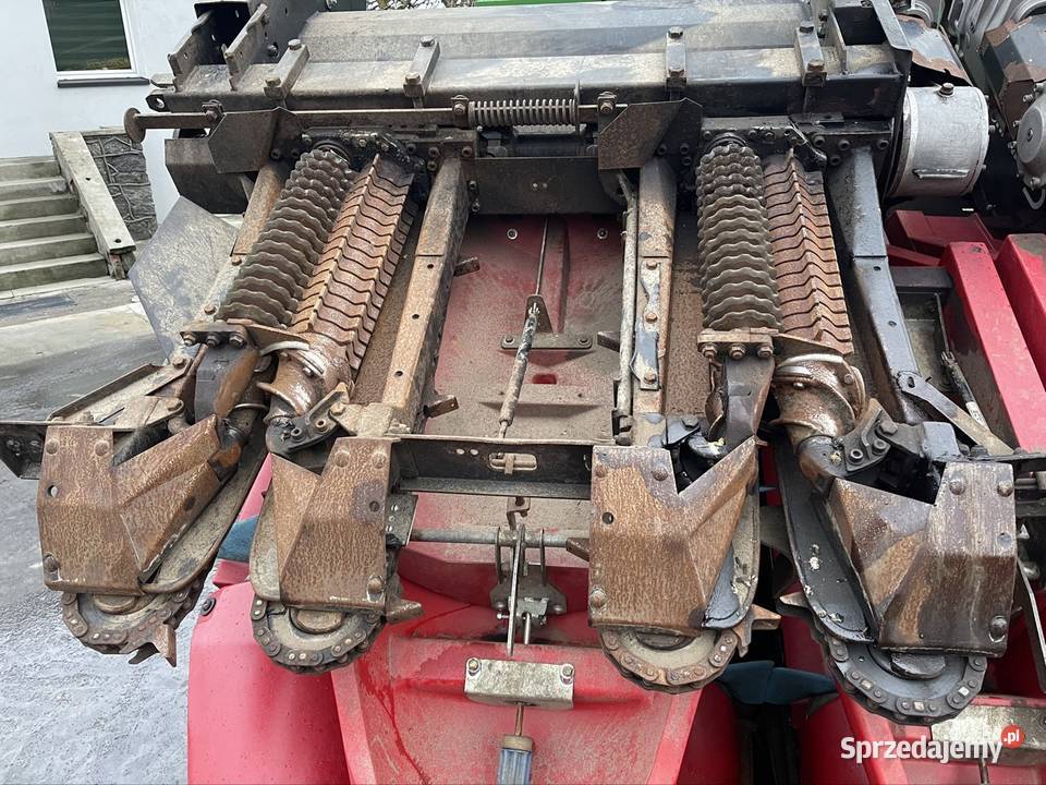 Przystawka heder do kukurydzy Geringhoff RD 800 kujawsko-pomorskie Tuchola