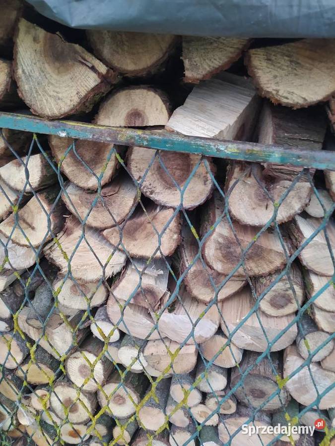 Sprzedam Drzewo Okazja Szymki