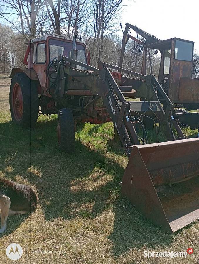 Sprzedam MTZ 82 4x4 2 sztuki Białogard