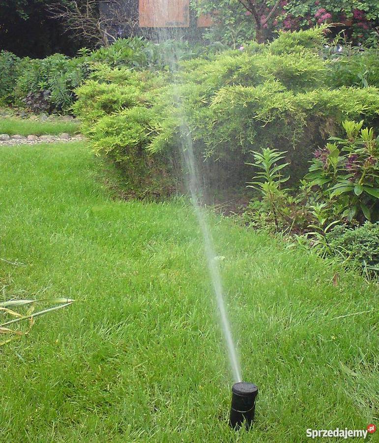nawadniaanie ogrodów Gdańsk sprzedam