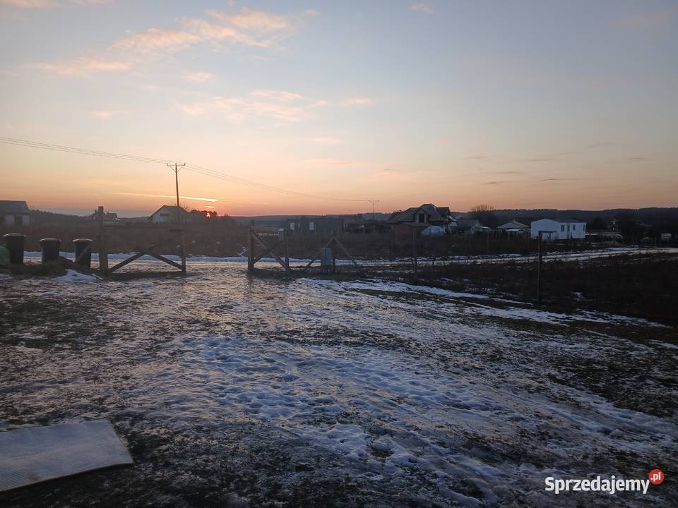 Domek drewniany z bali Rekreacyjny Mostki