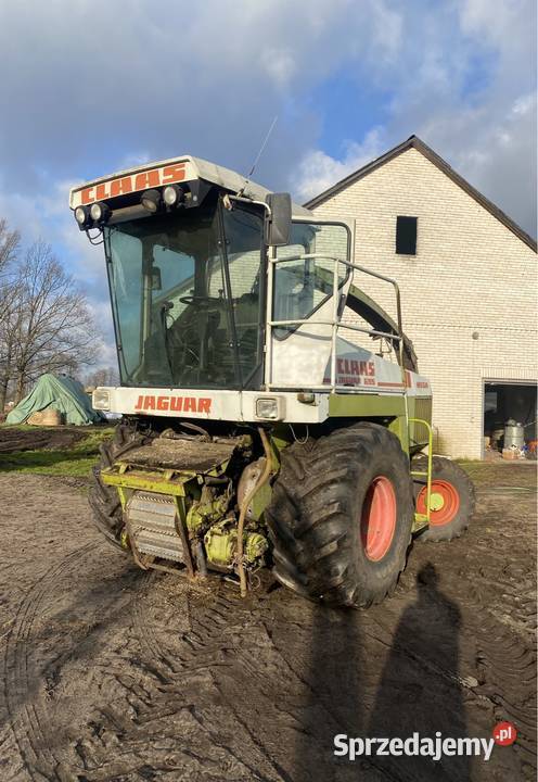 Sieczkarnia do kukurydzy claas jaguar 695 mega Do sieczkarni Ocięte sprzedam
