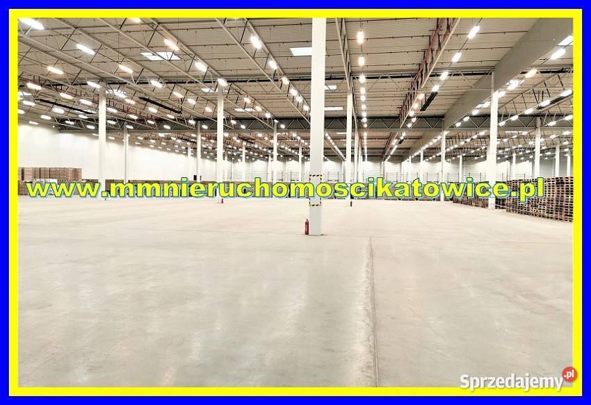 Magazyny do wynajęcia Będzin 200 m2 obsługa sprzedam