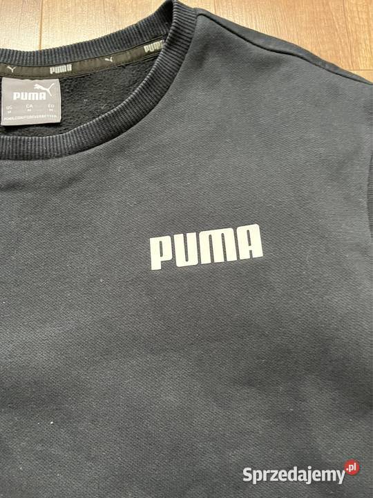 Bluza puma unisex dolnośląskie Świdnica