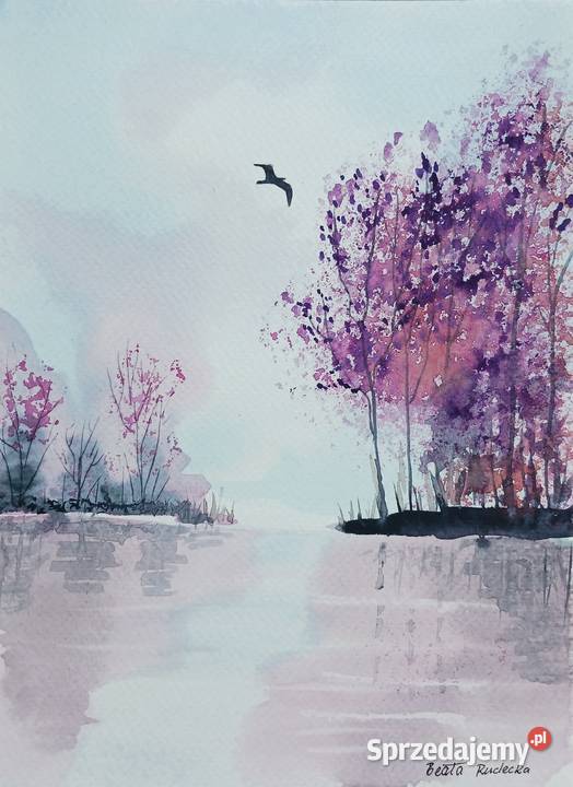 Akwarela Akwarelka Obraz pt Wodą 18 x 24 Łódź sprzedam