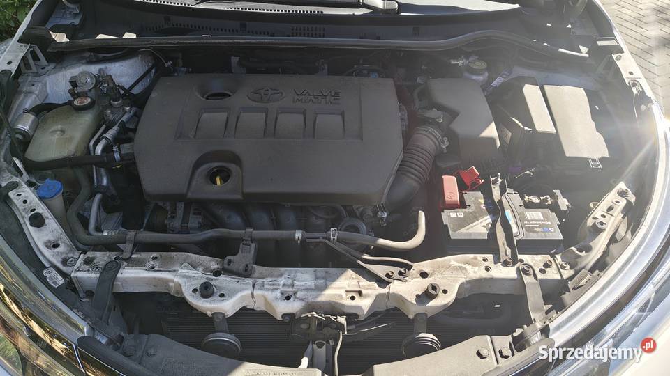 Toyota Corolla 16 Active PGLPG 2018r Żółwin