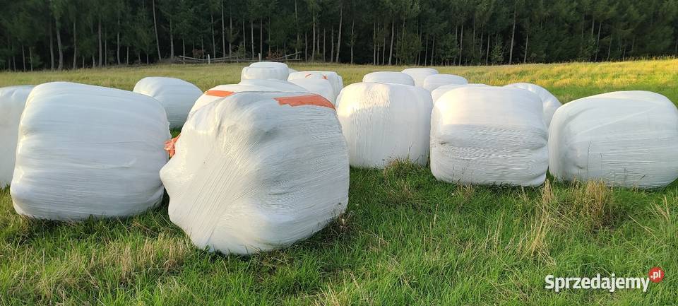 Sianokiszonka bele Garcz