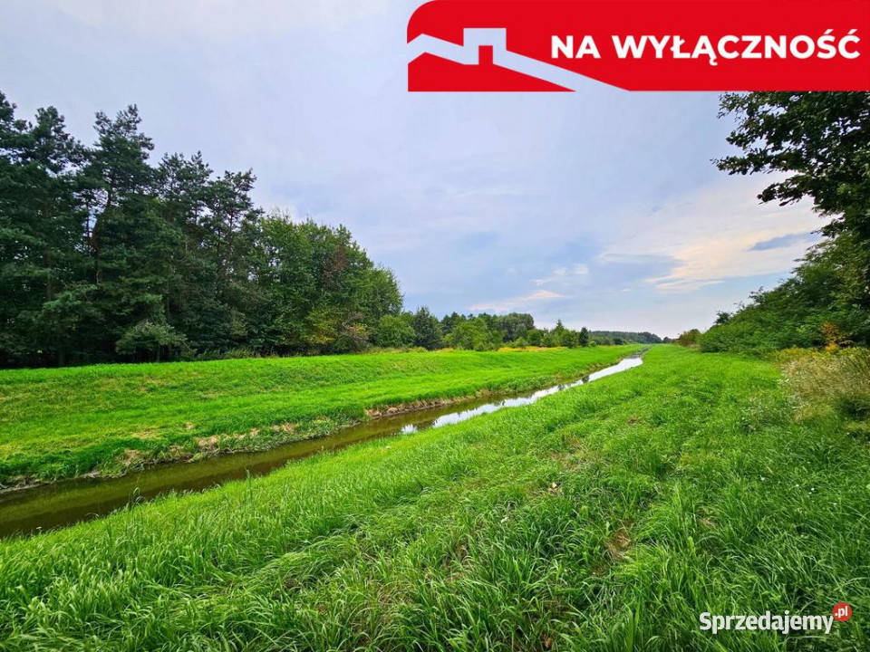 Łąki kanale częściowo pod wydobycie torfu Dąbrowa