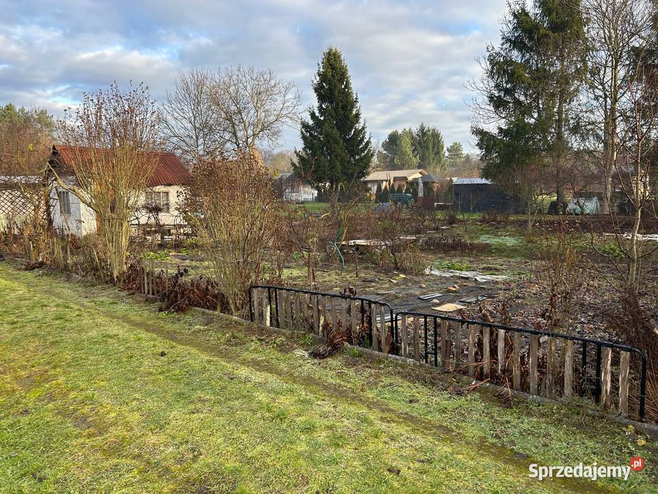 Działka ROD Związkowiec Wrocław Przejazdowa