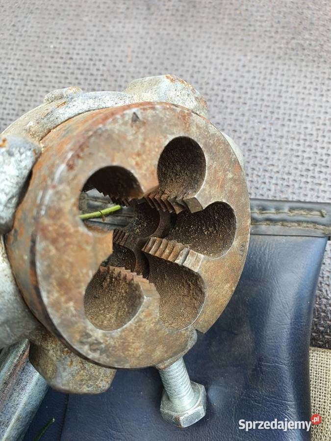 Narzynki podkarpackie Rzeszów