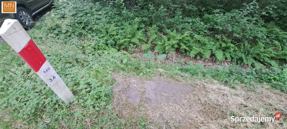 Działkę sprzedam 28900m2 Borzęcin