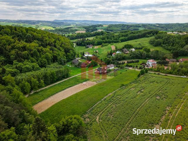 sprzedaży działki Wielopole Skrzyńskie 1300m2 podkarpackie