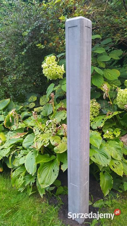słupek pachołek lubelskie Zamość sprzedam