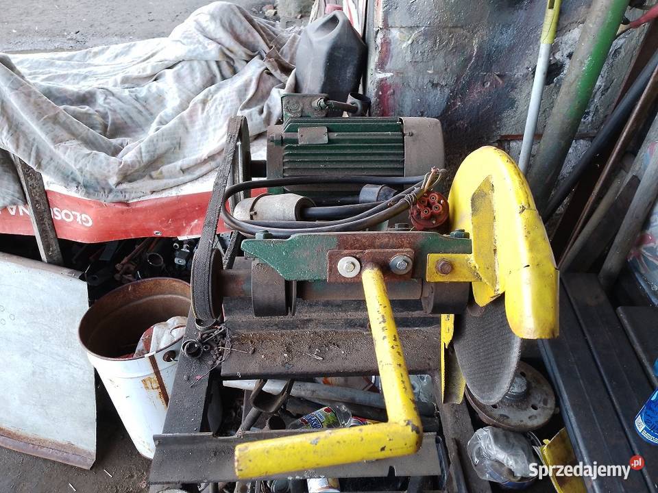 Gumówka stołowa Rolnictwo Trzebnica