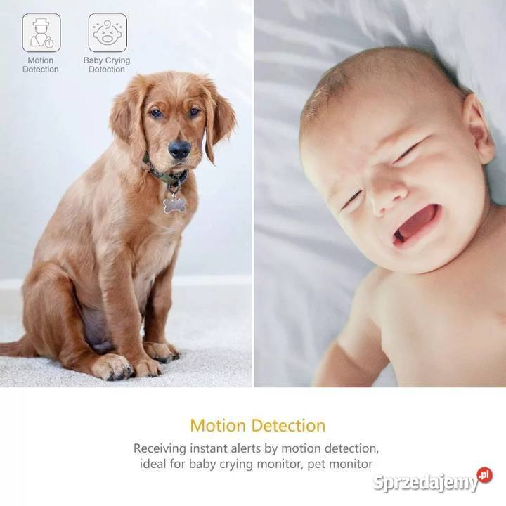 Kamera Kamerka WIFI IP Wykrywa Dzwięk Ruch Poznań