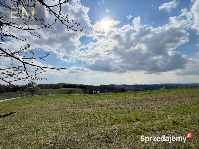 Grunt 4700m2 Gwoźnica Górna sprzedam