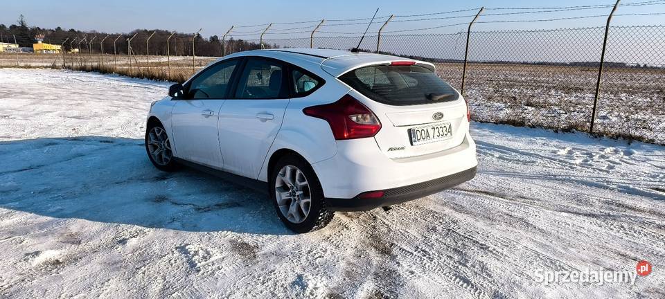 Fort Focus SALON POLSKA ZAMIANA Lubin