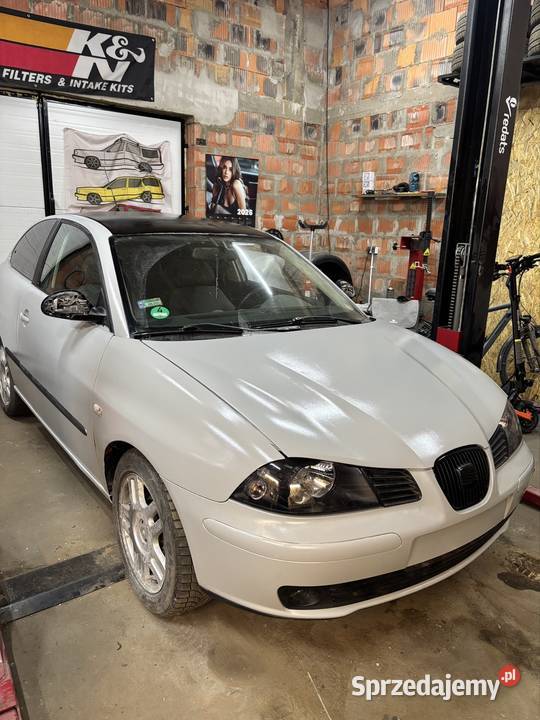 Seat Ibiza 6L 19tdi ATD malowany wałkiem łódzkie Zelów