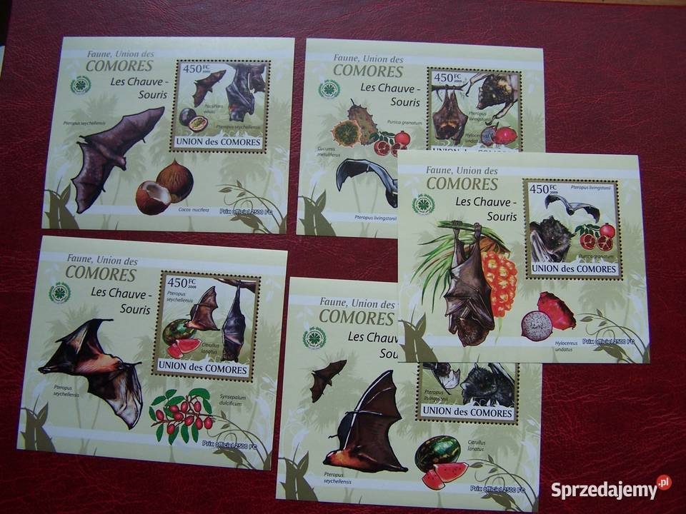 Komory 2009 MNH Fauna Nietoperze Nakład 2500 Tychy sprzedam
