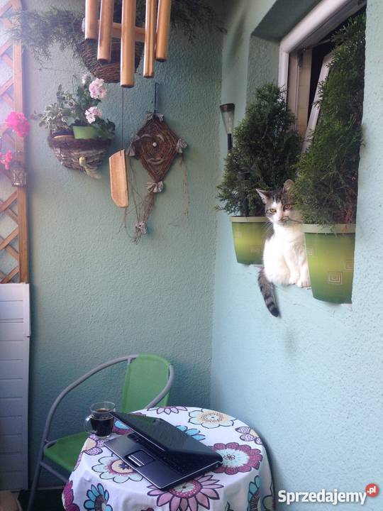 Sprzedam kawalerkę w centrum Pińczowa 3 piętra i więcej Pińczów