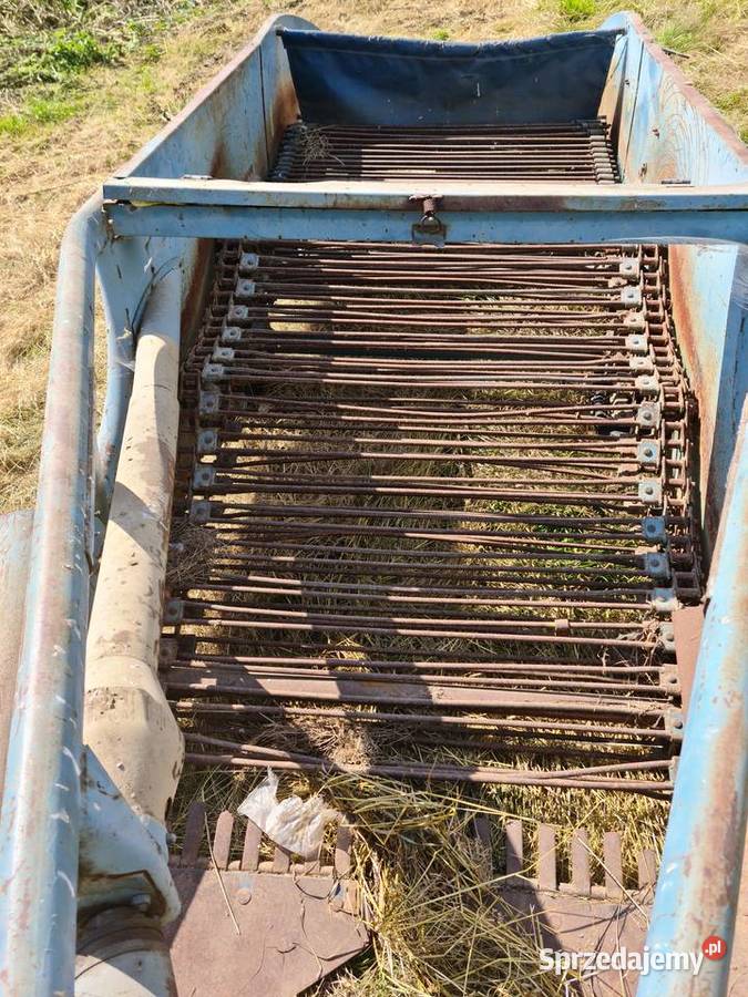 Kopaczka dwurzedowa dolnośląskie Krzewie Wielkie sprzedam