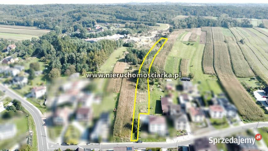 Działka 9230m2 Syrynia śląskie