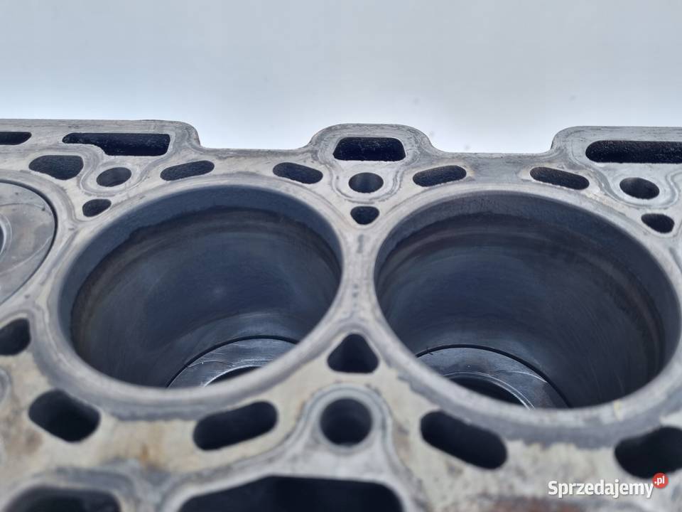 DÓŁ SILNIKA BLOK WAŁ TŁOK TŁOKI Renault Scenic osobowe Rudka