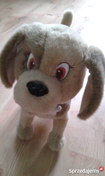 Piesek Bobby Tkanina  Jastrzębie-Zdrój