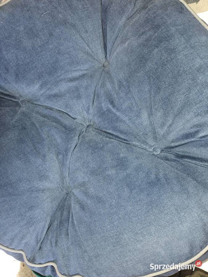 Poslanie psa Warszawa