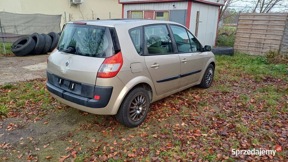 Renault Scenic 2006 r 19 130 Rzepin