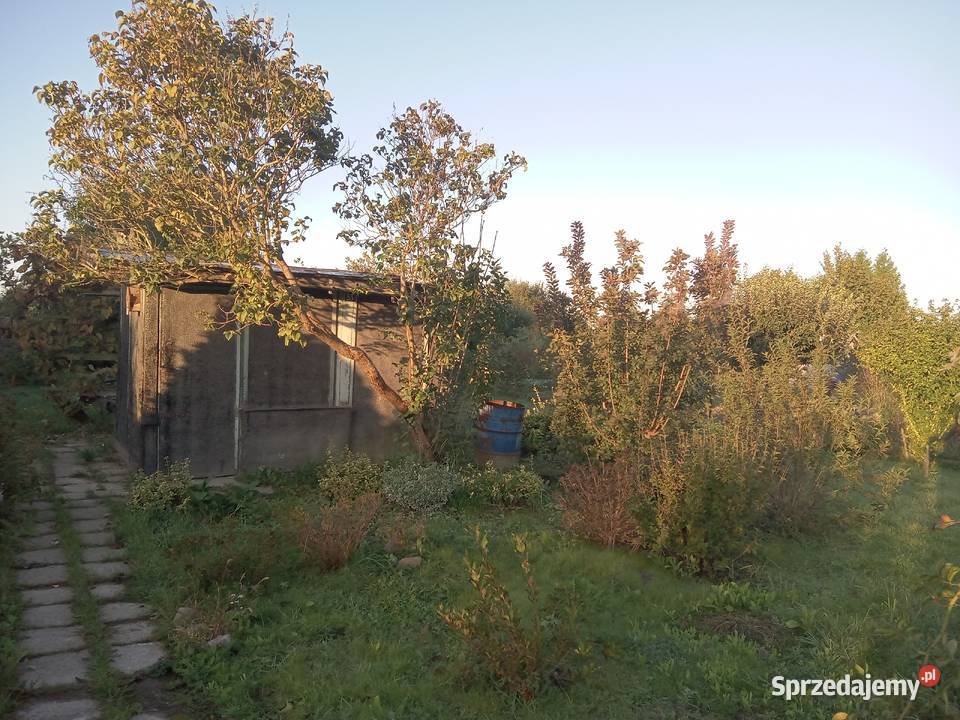 Prawo dzierżawy działki ROD Oleśnica
