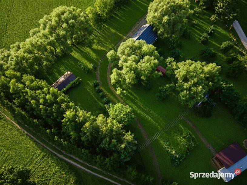 Działka Działka na Mazurach z warunkami zabudowy warmińsko-mazurskie Gąsiorowo sprzedam