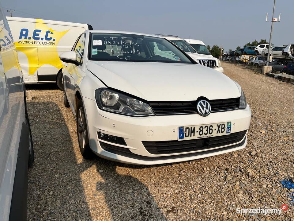 VOLKSWAGEN Golf VII 16 TDI 105 BlueMotion CTTE Wrocław