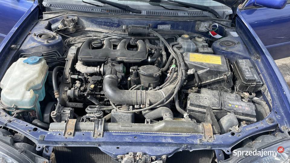 Toyota Corolla VIII E11 Lift FL 19 kolor 8L5 NA Piotrków Trybunalski