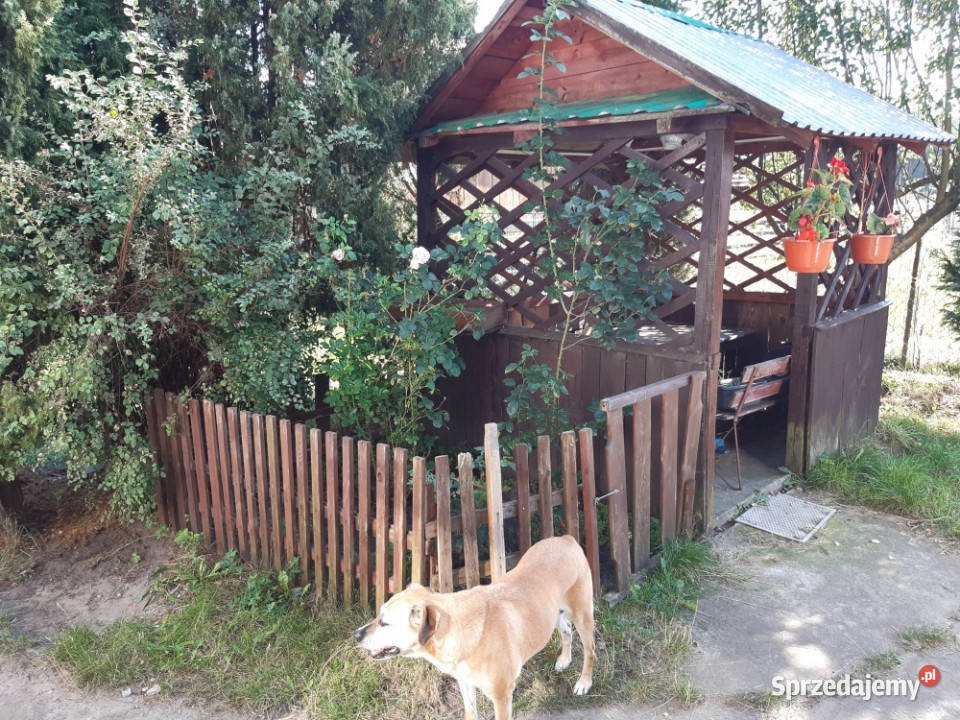 Sprzedam Dom na dużej działce 75m2 Adampol