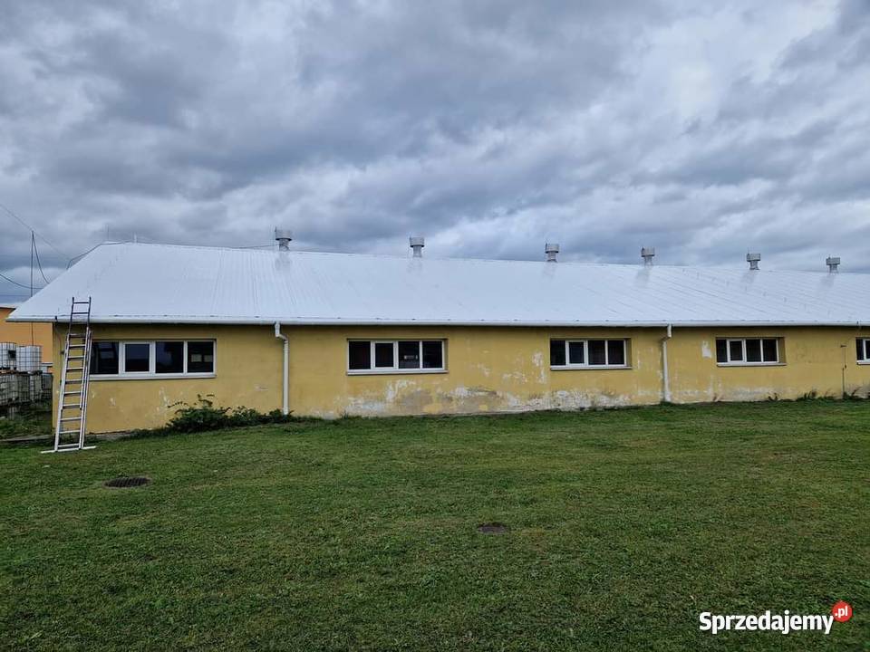 Malowanie dachów Sanok Przeworsk Czudec