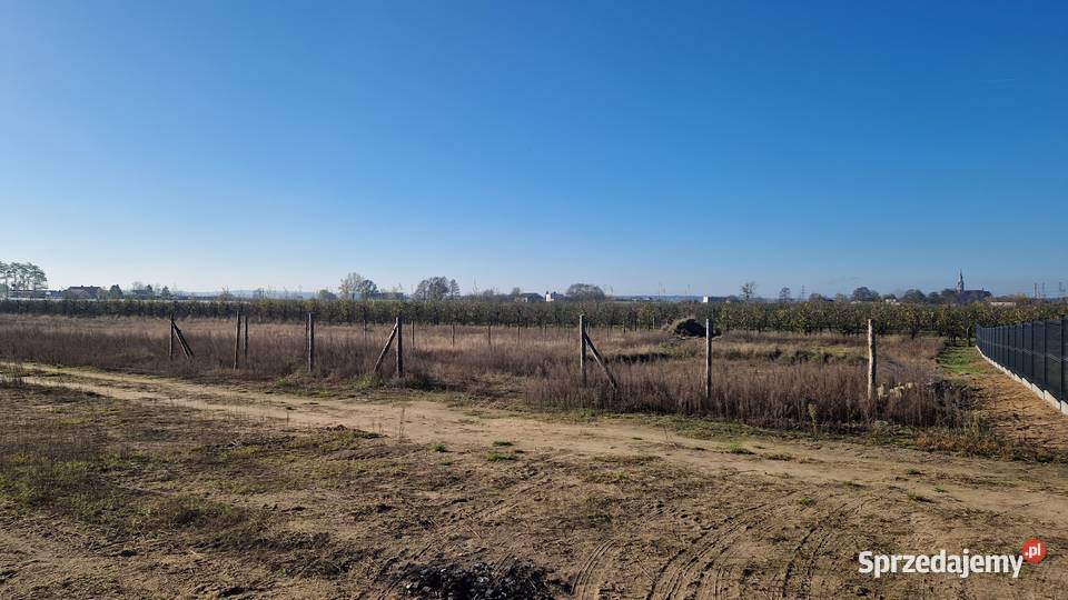 Działka budowlana 2000m3 Chełmica Duża 2000m2