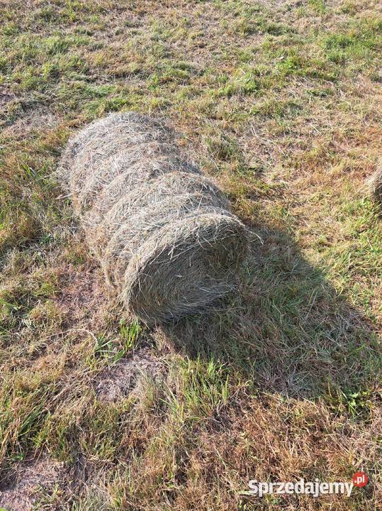 Sprzedam siano bale 50x70 Karmy i pasze