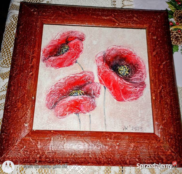 Małe maki Bychawka Trzecia