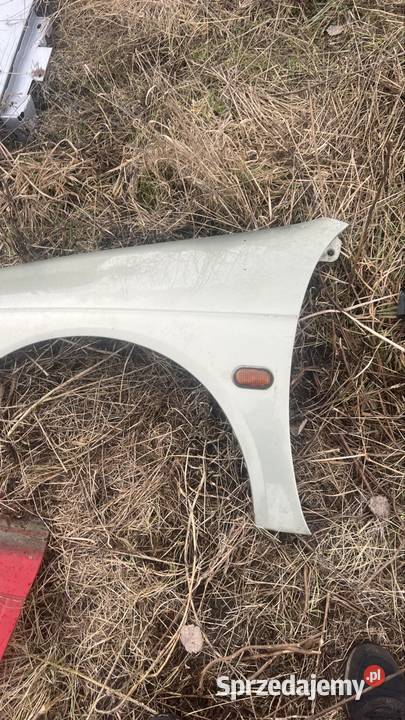 Blotnik lewy renault megane 1 osobowe Margonin