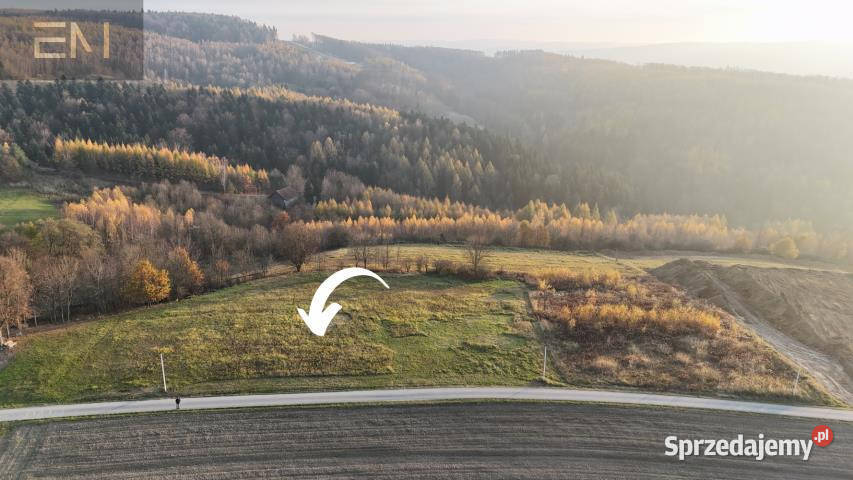 Sprzedam grunt Żarnowa 5000m2 podkarpackie
