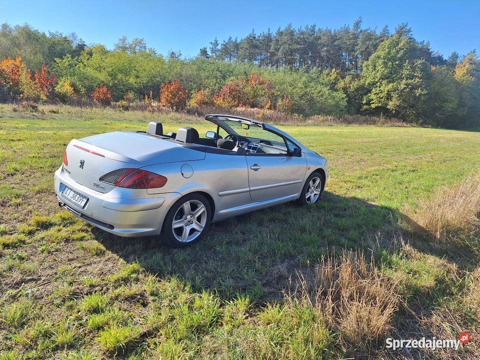 Sprzedam Peugeot 307 CC 20 Benzyna Gorzyce sprzedam