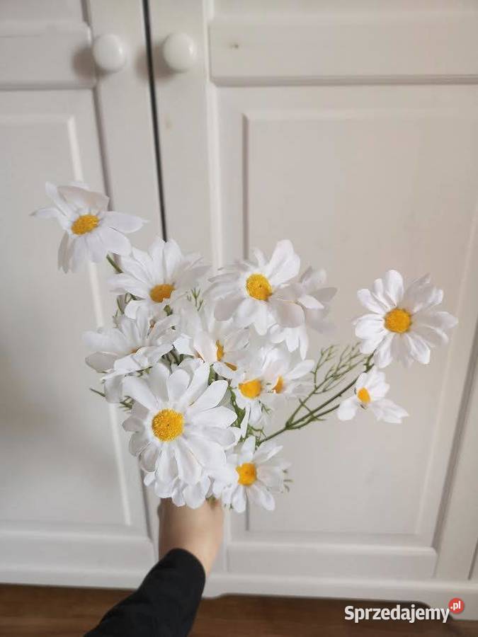 Sztuczny bukiet kwiatów kosmos 5 biały Niepołomice
