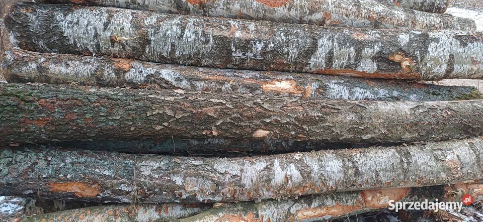 Sprzedam brzozę łupaną Swarzędz